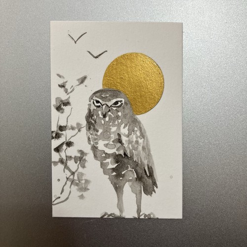 Original owl sunset - original,