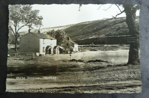 Chorley white coppice - white,