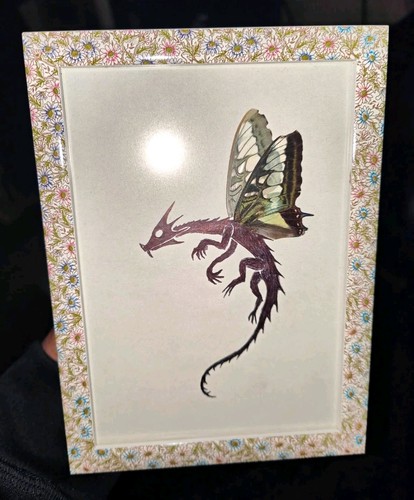 Fairy dragon with - with, real
