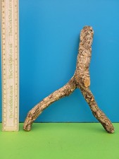 CORK BARK BRANCH 24CM SNAKE