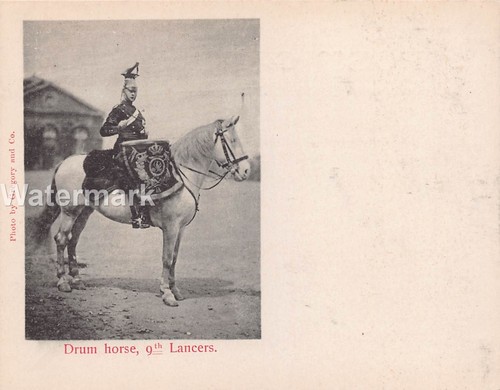 0996 edwardian british - 0996.,