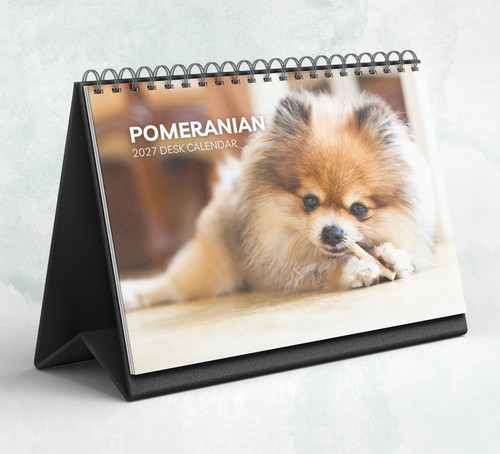 Pomeranian desk calendar - pomeranian,