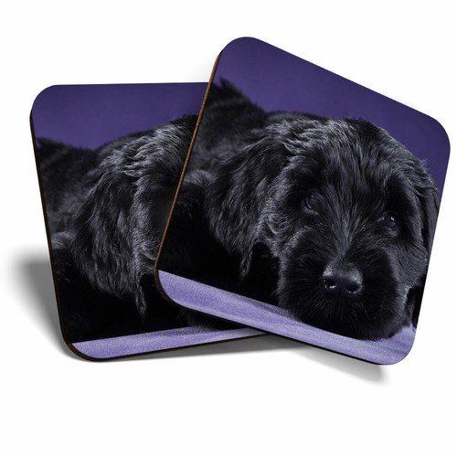 Coasters black russian - -,