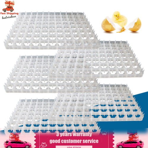 Egg hatching incubator trays - hatching,