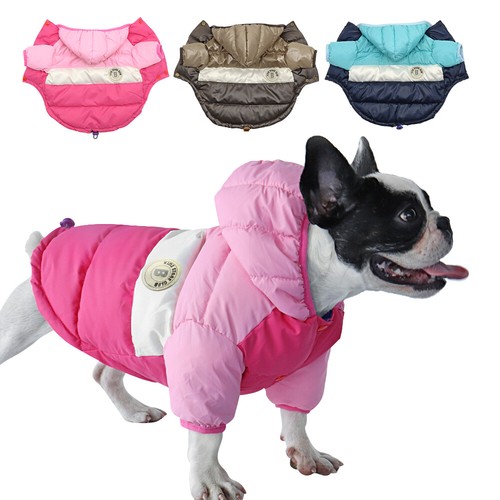 Winter dog coat waterproof - dog,