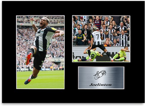 Joelinton newcastle football - joelinton,