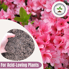 AZALEA COMPOST Peat-Based for Acid-Loving Plants Prograde Potting & Growing