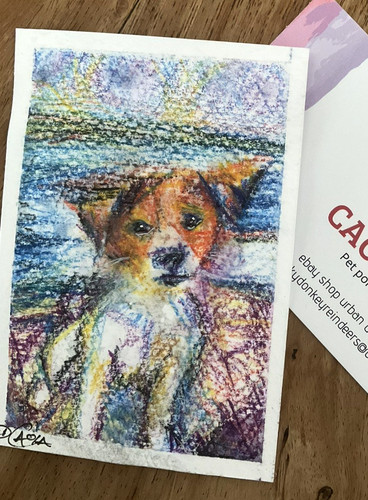 Original aceo jack - jack, russell