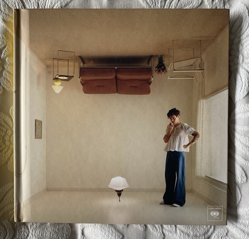 Harry styles - harry, house