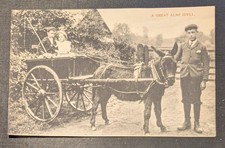 Great Alne - Warwickshire -