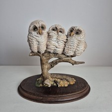 Country Artists Baby Owl Group Three Owlets Sat On Branch Large Figurine CA 155