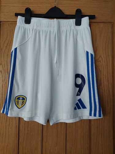 Leeds united dominic - leeds,
