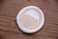 101st Airborne Paratrooper