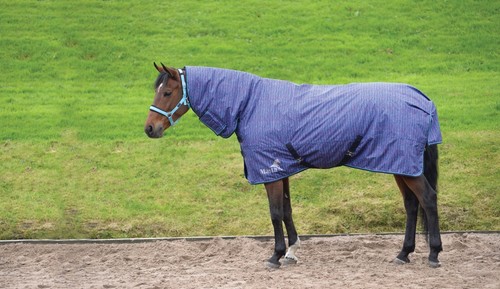 Masta avante heavyweight rug - masta,
