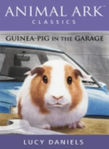 Guinea pig the garage - guinea-pig, in