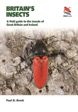 Britain's Insects by Dr. Paul D. Brock (Paperback Book)