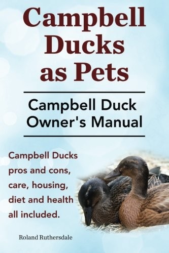 Campbell ducks as pets - campbell,