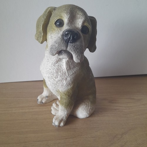 Leonardo collection dog - leonardo,