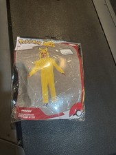 Disguise Pokémon Pikachu