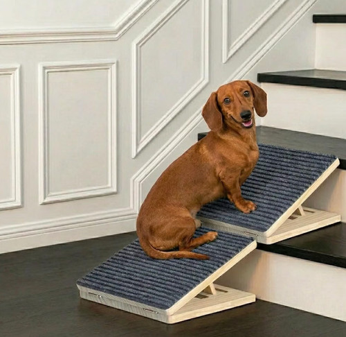 Pack wood dog - dog, stairs