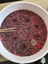 Discover Playdays Spider