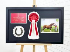 Horse Rosette Display Frame