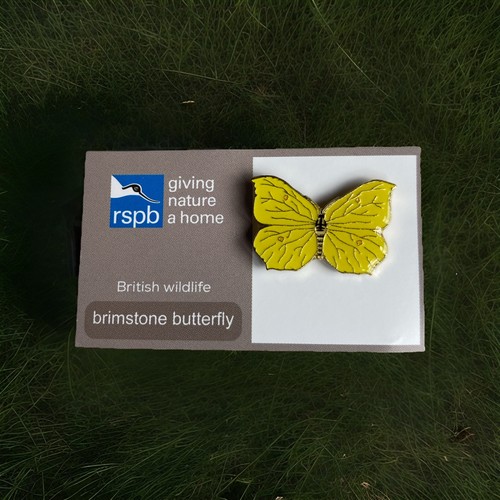 Rspb pin badge gnah - gnah, brimstone