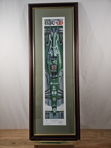 Eddie irvine jaguar the - irvine,