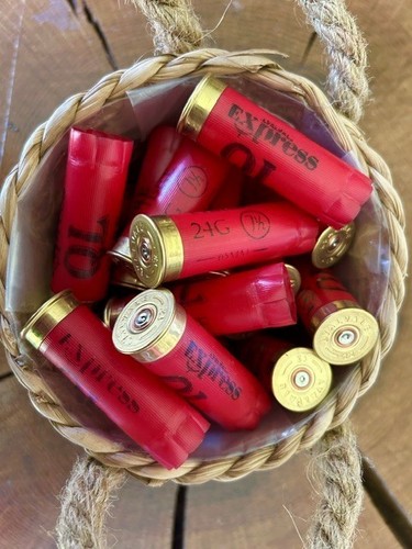 Spent shotgun cartridge cases - spent,