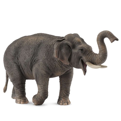 Collecta asian elephant - collecta,