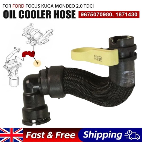 Oil cooler egr - oil, hose