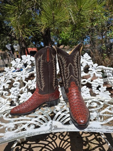 Hornback alligator la - hornback,