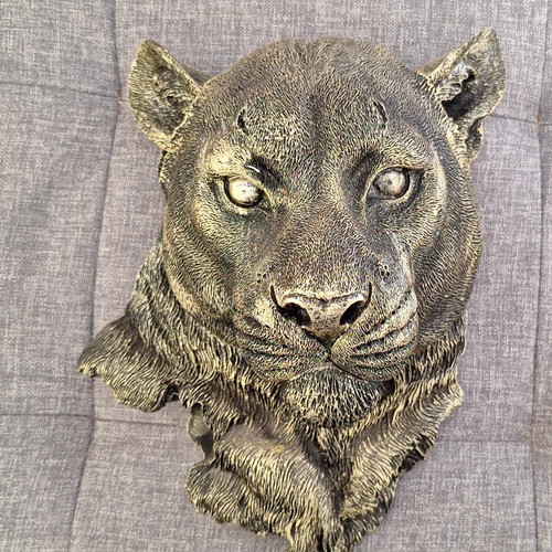 Lion head wall - sculpture, resin