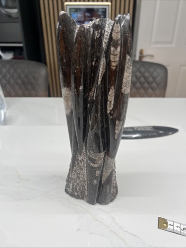 Large tower orthoceras - tower,