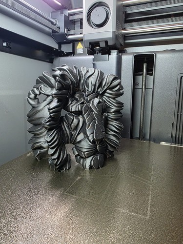 Lion 25cm edge - edge, 3d