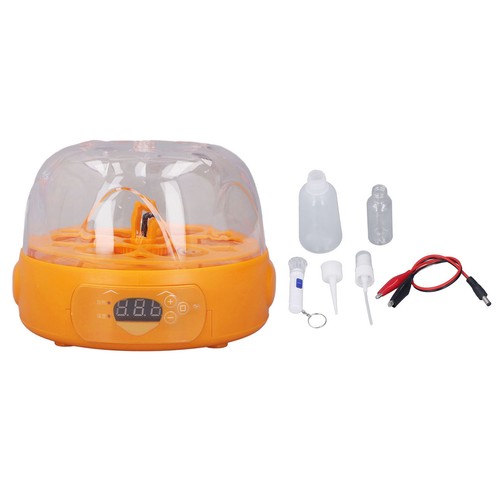 Eggs fully automatic - fully,