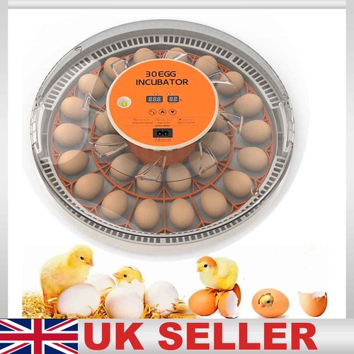 Digital egg incubator with - 30-egg,