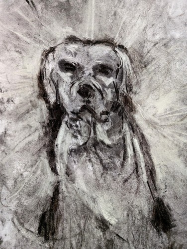 Black white charcoal dog - charcoal, a3