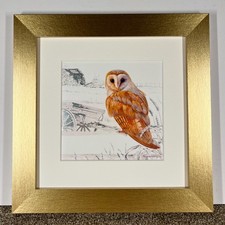 Barn Owl Picture Framed Art