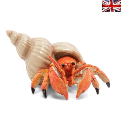 Elegant realistic hermit crab - elegant,