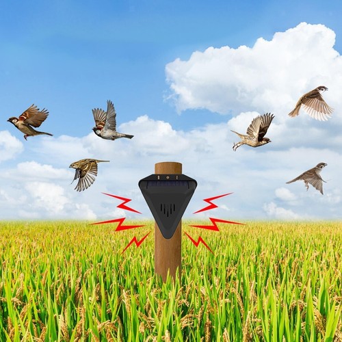 Bird scarer device - bird,