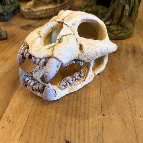 Vintage retro oddity cast - vintage,