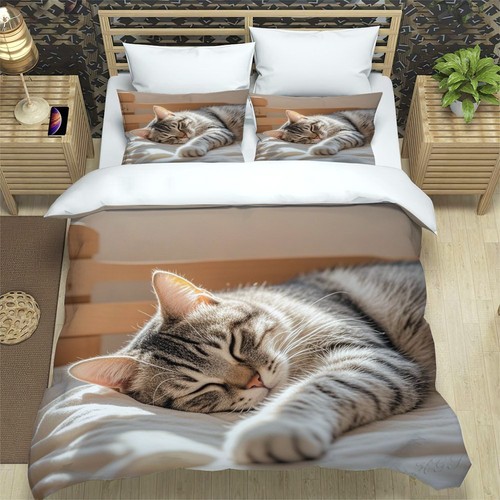 Lovely sleeping kitten cat - kitten,