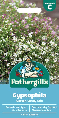 Fothergill gypsophila - mr, fothergill's