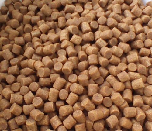 Coppens coarse carp - ,