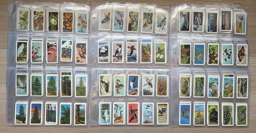 Different complete set - complete,