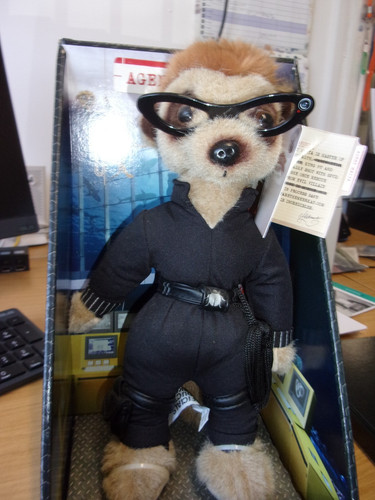 Compare the meerkat toy - compare,