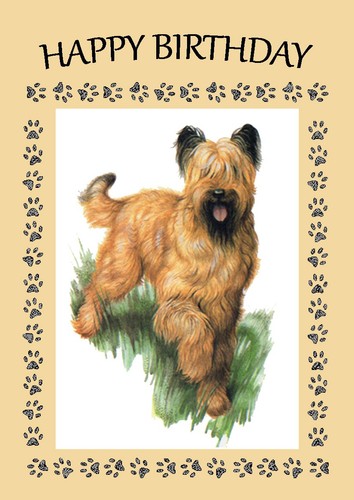 Briard dog birthday card - dog,