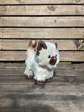 American Girl Himalayan Cat