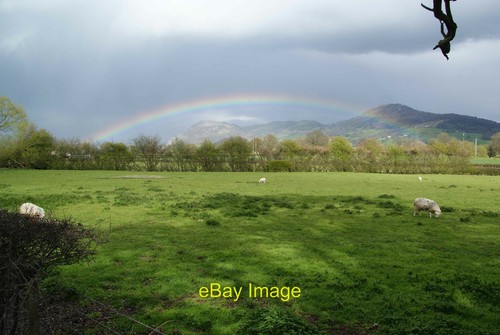 Grazing land near - quay,